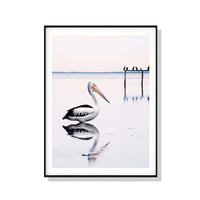 Wall Art 100cmx150cm Pelican Black Frame Canvas