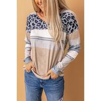 Azura Exchange Leopard Print V-Neck Top - S